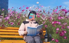 海贼王全集百度影音